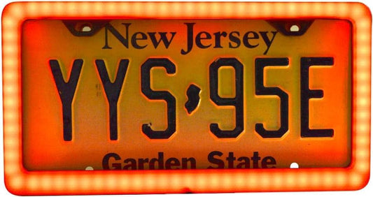 AUTOGEM Universal LED License Plate Frame 4 Function Running Brake Turn Light Black